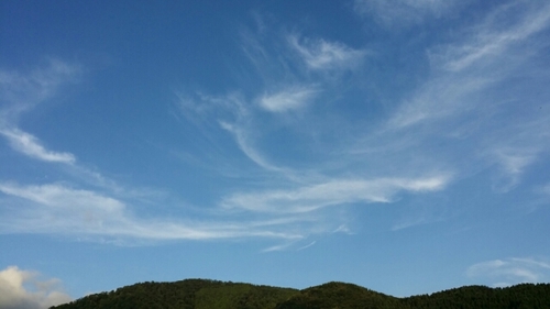 20160810235651429.jpg