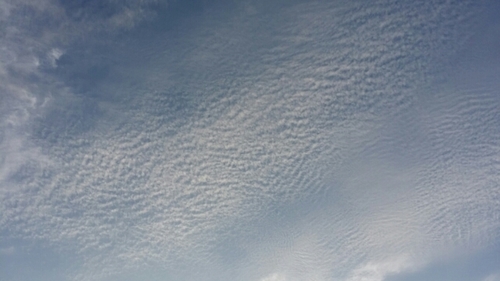 20160810235714407.jpg
